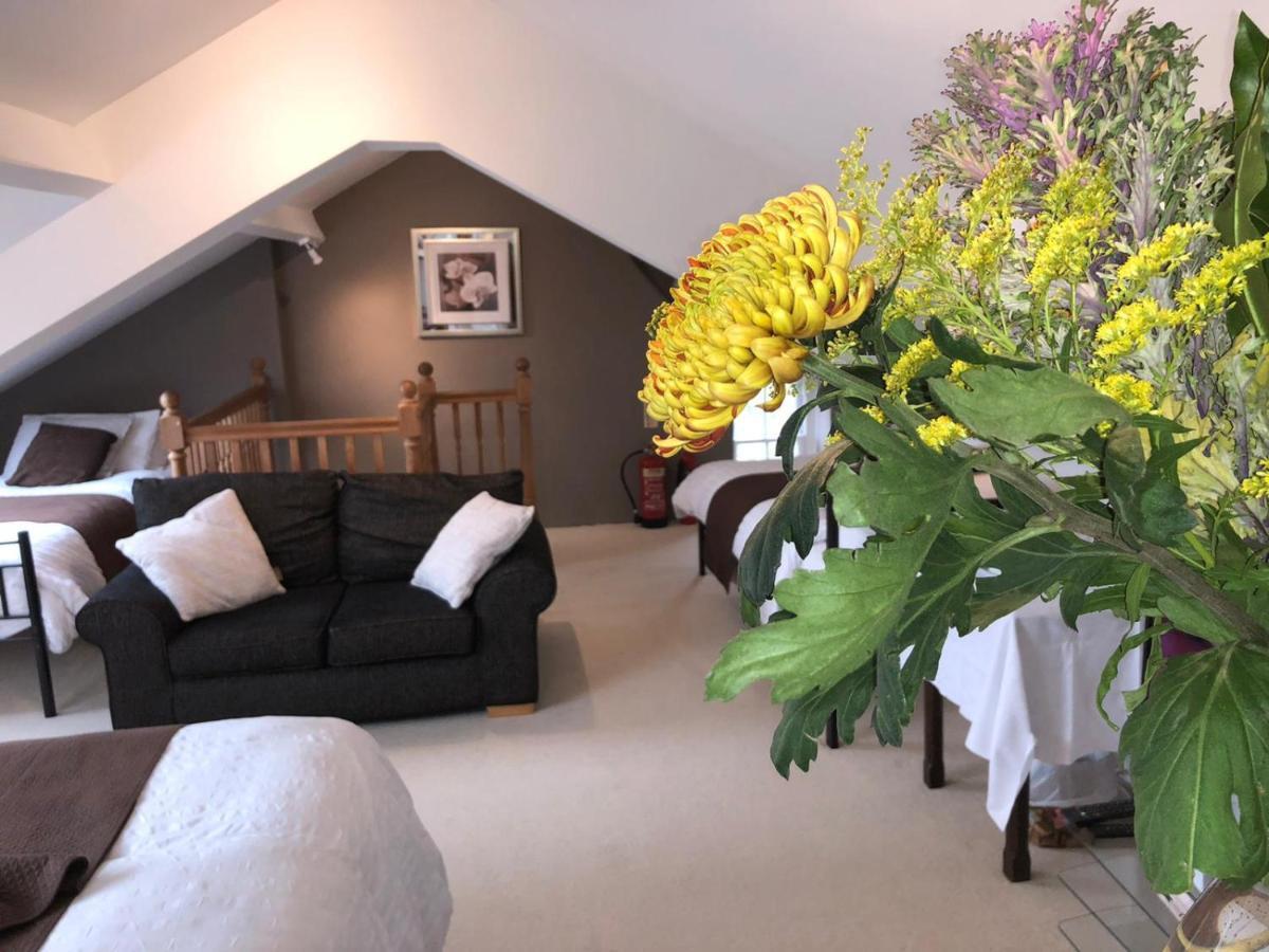 Llangwyryfon Country Breaks Bed and Breakfast Aberystwyth Exterior foto